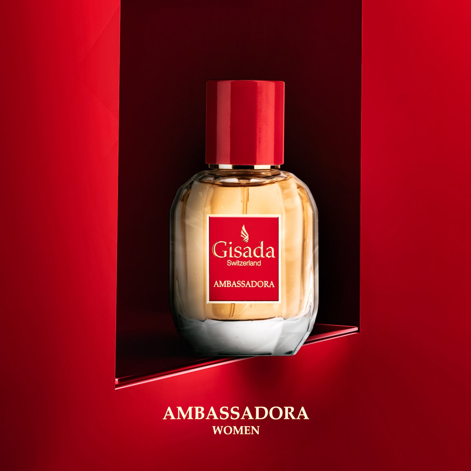 Gisada Ambassadora Discover your new scent